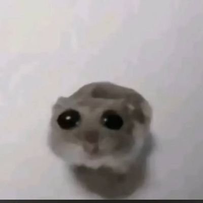 pAHmNEBWWm25918's profile picture. 
