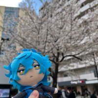 🍄アオキノコ🍄 (@c8e6c4ac7afb475) 's Twitter Profile