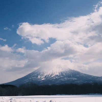 johar543's profile picture. Brave, curious, and a bit mischievous! Mastering wind & water magic #MageInTraining #Fant