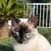 Caty (@nuria1610099352) Twitter profile photo Caty (@nuria1610099352) Twitter profile photo