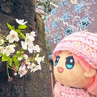 悠 (@haruca_m) 's Twitter Profile