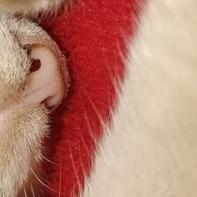 sourak97's profile picture. 