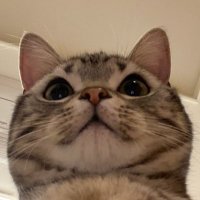 ° (@carellies) 's Twitter Profile Photo