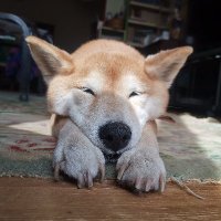 山室真澄 (@yamamuromasumi) 's Twitter Profile Photo