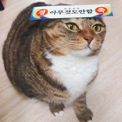 lahesol_ff14's profile picture. 어쩔 수 없는 오타쿠 / 톤베리 / 성인남성 /