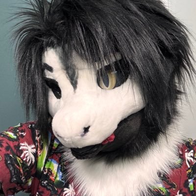 Lewdsnakecoyote's profile picture. 25, NB | AD of you know who | they/them