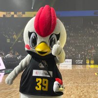 なごみ⚡️🏀群馬一丸 (@jhoapeqj3x64698) Twitter profile photo