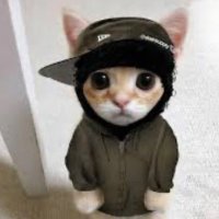 xNqls (@xnqlsval) 's Twitter Profile
