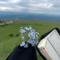 أمة الله (@reachingj4nnah) 's Twitter Profile