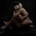 Putra Aji (@putraaj33028164) Twitter profile photo Putra Aji (@putraaj33028164) Twitter profile photo