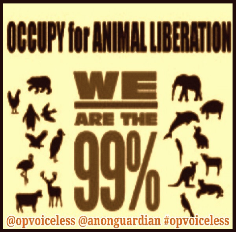 Animal Activist. A voice for the Voiceless. #OpVoiceless http://t.co/iiIFBAIl3z