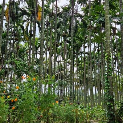 ಯಶವಂತ | Yashwanth Profile
