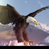 عامر (@a_mi_r_1) 's Twitter Profile