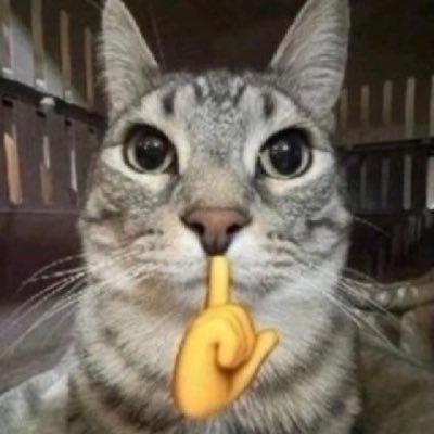 Matterz7_'s profile picture. Tank for @abertayes Studying Computer Games Application Development 20