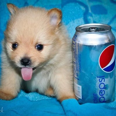 sobakaspepsi's profile picture. Pepsich🔞 (I'm adult ) #hetatwt(^ω^ ) ☆ antis dni (I don't judge anyone just for comfort) she/her★*☆♪ 🍝🌍 art account