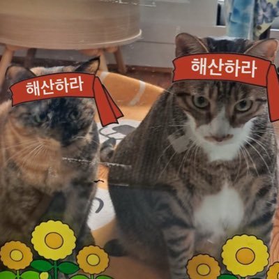 lazy womanさんのプロフィール画像