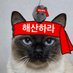 🤎가족찾는 반고🤎 앵알이 (@_jaeda__) Twitter profile photo 🤎가족찾는 반고🤎 앵알이 (@_jaeda__) Twitter profile photo