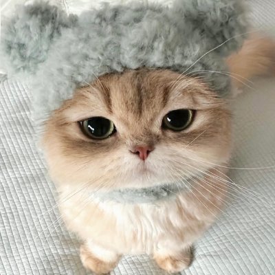 Daizy__FB's profile picture. FB Trend Only | คีพคู่ ไม่อะไรกับใคร | #srchafreen | #Beckysangels