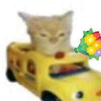 Tu vieja (@erinthcat) 's Twitter Profile