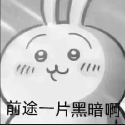 paku842173861's profile picture. 中国人。