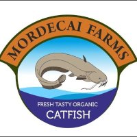 Mordecai Farms (@mordecaifarms) 's Twitter Profile Photo Mordecai Farms (@mordecaifarms) 's Twitter Profile Photo