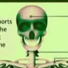 Socialistrr's profile picture. hi there 👋