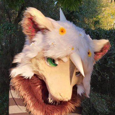 ➡➡im on bluesky now⬅⬅
🌺 lolishos/zoos +minors please DNI🔞 🌺plush collector |💛@pearaesthetics |🧃Maruki virgin truther 🌺FUBfree🌺fursuit🧵:@teddy_fur