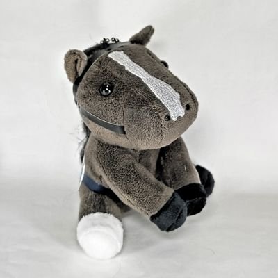 タキモト(秋まで競馬引退マン)☃️🥟🎪♌さんのプロフィール画像