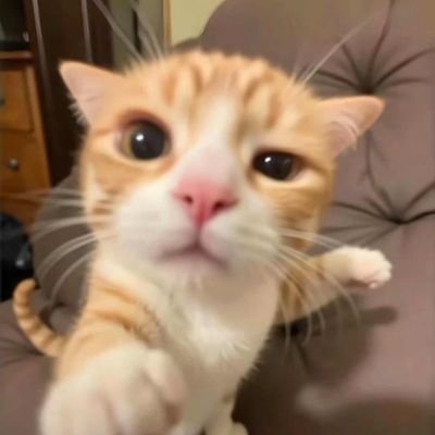 stone3569572615's profile picture. 