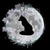 โจMystic SilverMoonโจ (@strdstnsrcry) Twitter profile photo โจMystic SilverMoonโจ (@strdstnsrcry) Twitter profile photo