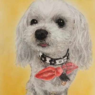 MalteseJJ's profile picture. 18歳手前で虹組さんへ。
生前おじいちゃんマルチーズの日記。

これしてみたら、いい感じになったことなど、あれこれ明るくお届け。

愛犬が整体好きになったので、
まず人間の整体スクールに通い、そして新たに犬の整体研究生になりました。

将来は、世界中のモフモフ🐶達に恩返しを構想中。