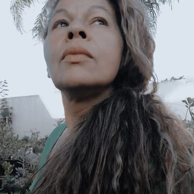 ClaudeteDe93783's profile picture. UM PAÍS SEM JUSTIÇA JAMAIS TERÁ PAZ 🇧🇷.