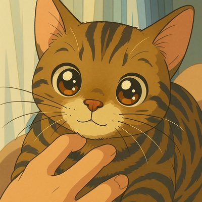 JaredSiow's profile picture. building a cat lifestyle brand; ex-doctor