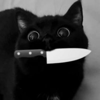 nira🔪 (@prettyunhinged) 's Twitter Profile