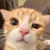 beeni (@beeni_cr) Twitter profile photo beeni (@beeni_cr) Twitter profile photo