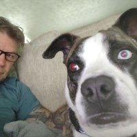 Hangry Human (@trax1833) 's Twitter Profile