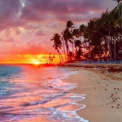 aka_optimist's profile picture. 