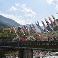 ヒロボー #共に頂点へ🏀超えていけ。 (@pleasure1785) Twitter profile photo