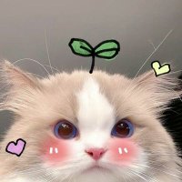 nam.ingg♡ (@gmm1ngg) 's Twitter Profile