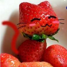 ncky_uk's profile picture. 