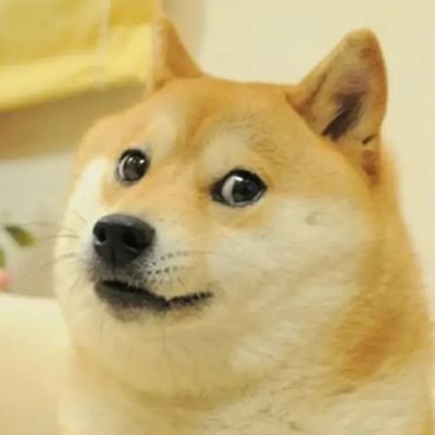 HuiDong19836's profile picture. 🐕「**KABOSU 3333** —— 不仅是代币,更是共识的狂欢!  
从柴犬到星辰,我们用 meme 改写未来!」  
💬「社区为根,3333为证!  
加入 KABOSU,做 Web3 最有趣的持币人!」CA:0x9a278D0BA3e20863DfCDE4dD034EC45706363333