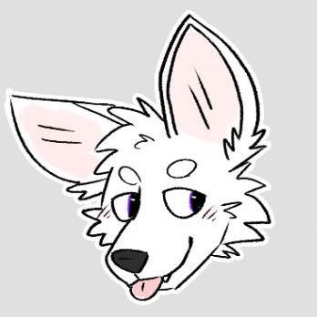 🏋️•⛷️ & 🚵 &🧗♂️& 📸 • ✞ • Make cool friends, do cool things • pfp: @thunderfennec