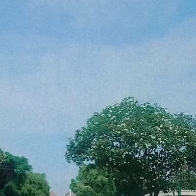 vera_aninm's profile picture. need a partner! send ur pict via dm
yang serius2 aja