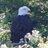 NLBaldEagle's profile image