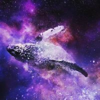 🐋Kiya⁷ ⟭⟬ ⟬⟭ (@eternallyotrue7) 's Twitter Profile Photo 🐋Kiya⁷ ⟭⟬ ⟬⟭ (@eternallyotrue7) 's Twitter Profile Photo