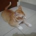 bb (@citatozss) Twitter profile photo bb (@citatozss) Twitter profile photo