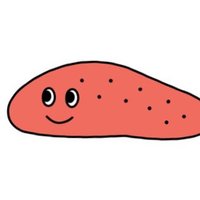 たらこ☺︎初マタ7w (@tarakopastarako) Twitter profile photo