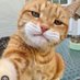 Ben Bunny (@benbunny60) Twitter profile photo Ben Bunny (@benbunny60) Twitter profile photo
