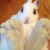 jiggly.feet ᴥ (@yourwife0000) Twitter profile photo jiggly.feet ᴥ (@yourwife0000) Twitter profile photo