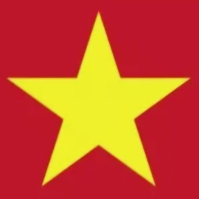 Vietnam 🇻🇳 (my country) and Wolves 🐺 (my team).
I used to love England until it became racist. Age, gender, occupation, moral beliefs & skin against me.